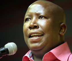 Julius Malema (Jelly Totsi - thanks Andrew D) looking like his good self